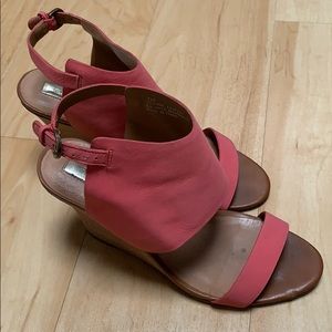 Pink Halogen Wedges
